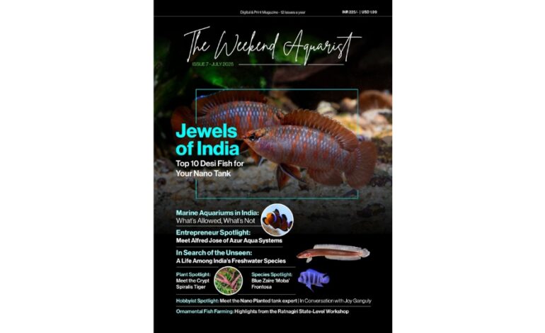 The Weekend Aquarist launches 7th issue, now on Magzter and in print