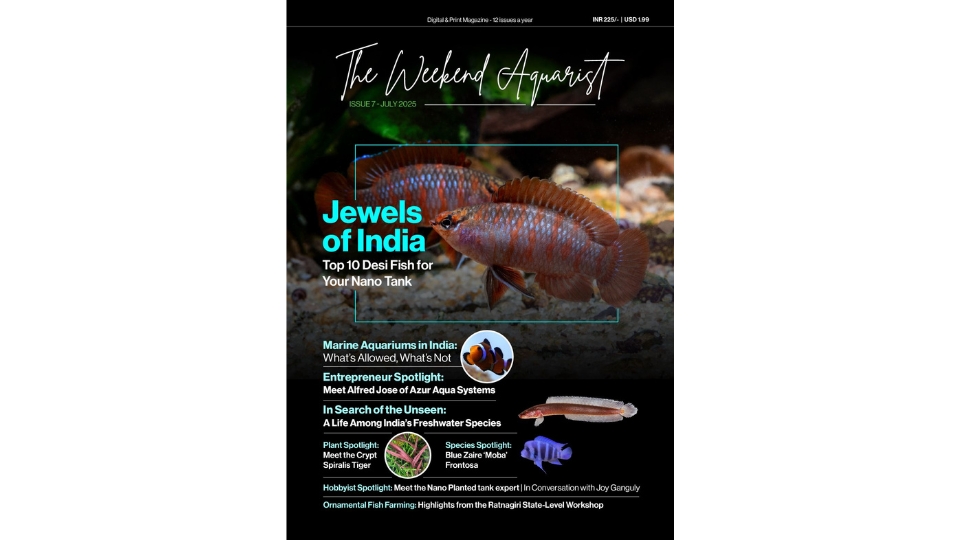 The Weekend Aquarist launches 7th issue, now on Magzter and in print